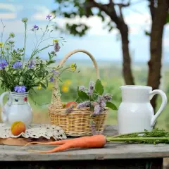 Jak rozpocząć agroturystykę i uniknąć najczęstszych błędów?