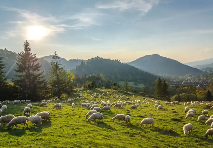 Pieniny gdzie nocleg - najlepsze opcje na udany wypoczynek