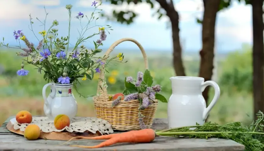 Jak rozpocząć agroturystykę i uniknąć najczęstszych błędów?