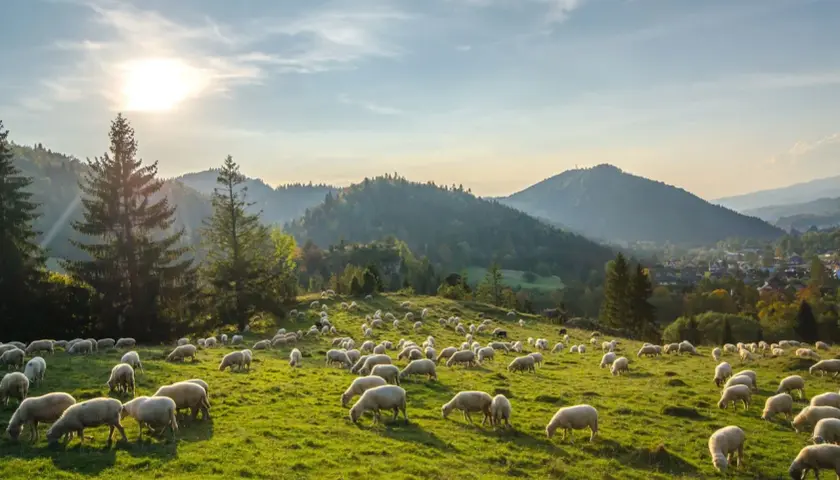 Pieniny gdzie nocleg - najlepsze opcje na udany wypoczynek