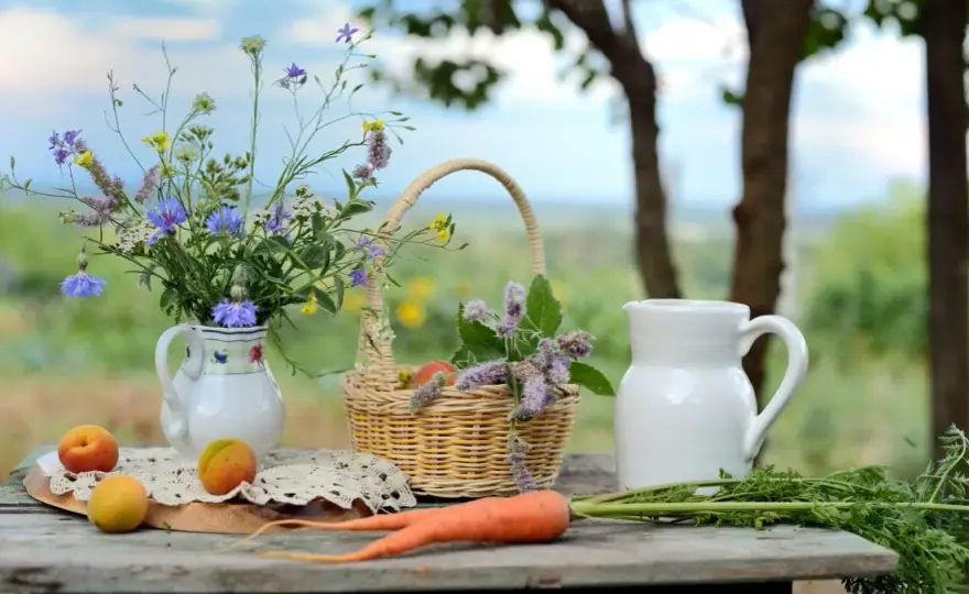 Jak rozpocząć agroturystykę i uniknąć najczęstszych błędów?