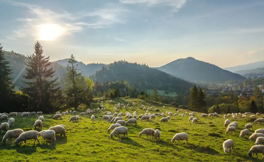 Pieniny gdzie nocleg - najlepsze opcje na udany wypoczynek
