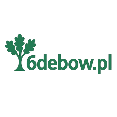Logo 6debow.pl